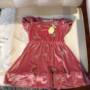 Girls 2T For Love & Lemons Velvet Pink Star Dress